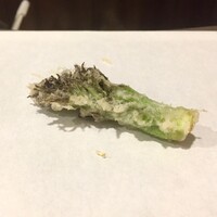 天白 - たらの芽