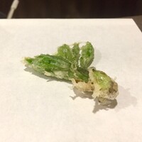 天白 - こしあぶら