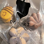 DOTORI MACARON - 