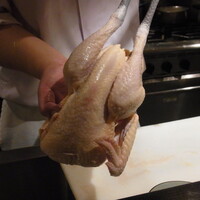 名古屋コーチン 鳥しげ - 