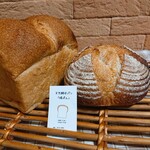 天然酵母パン 晴ぱん - 生クリーム食パンとカンパーニュ