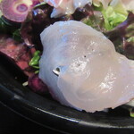 BONCOURAGE - 白身魚のカルパッチョ