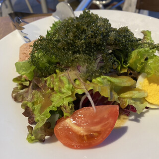 クーワ クーワ_1