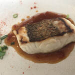 レカマヤジフ - 