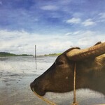 居酒屋 猪狩家 - 