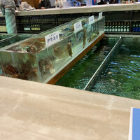 博多料亭 稚加榮 - 