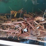 割烹かまた - お店の入口にかにの水槽