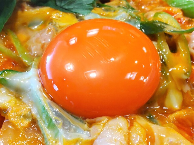 大阪うどん きらく 富田林店 喜志 うどん 食べログ