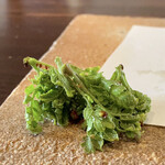 たでの葉 - 花山椒
      蕎麦と一緒に花山椒そばとしていただきました。
      舌が少しピリッとしてとても良いですね♪