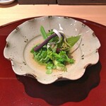おみ乃 - 旬菜尽くし（独活・うるい・こごみ・たらの芽・菜花・蕨のおひたし）
