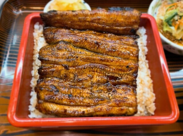 うなぎの甚八 掛川 うなぎ 食べログ うなぎの甚八 掛川 うなぎ 食べログ