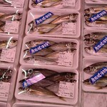 ODOYA - 小鯵  安い