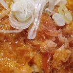 かさねや - 料理写真:熟成ひれかつ丼