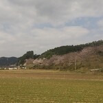 せいわの里 まめや - 