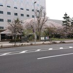 雨は、やさしく NO,2 - 札幌駅北口、北8条通りを東へ向かいます。