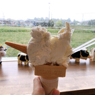 富士でおすすめの美味しいアイスクリームをご紹介 食べログ 富士でおすすめの美味しいアイスクリームをご紹介 食べログ