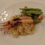 アル・ケッチァーノ - 赤海老の焼きリゾット(2017.07)