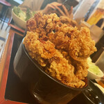 Karaage Hitosuji - 