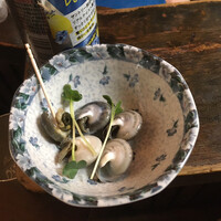 豚の金玉の刺身 朝起ち 新宿西口思い出横丁 By ダイユウサク 朝起 アサダチ 新宿西口 創作料理 食べログ 豚の金玉の刺身 朝起ち 新宿西口思い出横丁 By ダイユウサク 朝起 アサダチ 新宿西口 創作料理 食べログ