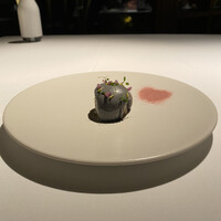 ブレストンコート ユカワタン - 