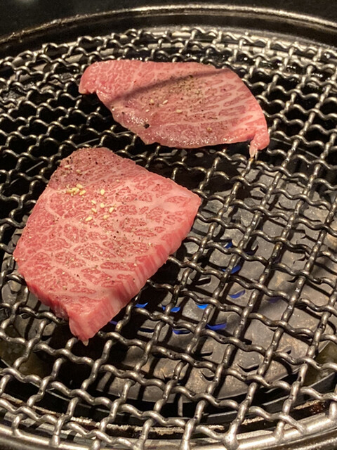 焼肉トラジ 横浜モアーズ店 横浜 焼肉 ネット予約可 食べログ 焼肉トラジ 横浜モアーズ店 横浜 焼肉 ネット予約可 食べログ