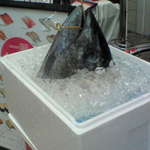 回鮮ちよだ鮨 - まぐろ！？