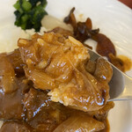 黒船亭 - ハヤシライスのアップです