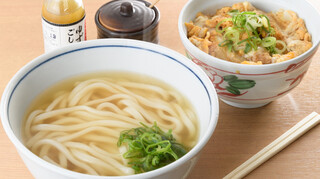 やりうどん - ハーフかつ丼 レギュラーうどんセット