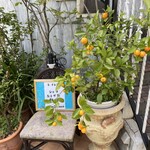 ラ・ブランシュ - 