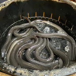 かぶと - 本日のうなぎ