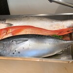 銀座 大石 - 手前から、愛媛県のスマ、千葉県・銚子の金目鯛、青森県の桜鱒