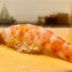 鮨 はしもと - 2021.4.  車海老
      