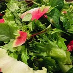 Yuushokuya Saisai - ９種の野菜が入ったサラダベース