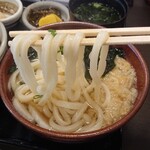 Sanuki Teuchi Udon Narukamedou - 麺の太さ