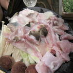 きときと - 全体