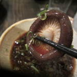 きときと - シイタケも持ち上げ～