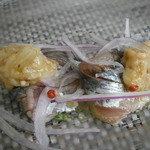 アーリア ディ タクボ - 24年9月　秋刀魚のカルパッチョ