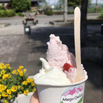 Megu Gelato - 