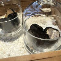 Terres de Truffes, Tokyo - 