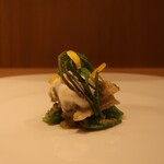 RISTORANTE IL NODO - 白ミル貝 春の豆 グリーンオリーブ