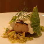 RISTORANTE IL NODO - 春のホタテ 山北 中戸川さんの湘南ポモロン クスクス サワークリームアップ