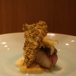 RISTORANTE IL NODO - 小坪漁港の鰆 渡辺農園の春キャベツ色々 八木下さんの日向夏