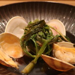 RISTORANTE IL NODO - 小坪漁港(ホウボウ、蛤、浅利、新ワカメ) 山北の山アップ