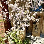 Sobakiri Morino - 店先には御殿場桜が活けてありました　蕎麦も食材も風情も春ですねぇ