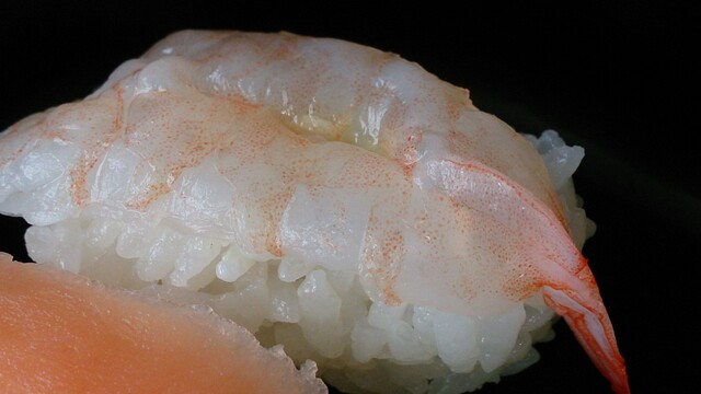 すし海道 真室川店 - 真室川（寿司）の写真