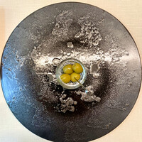 TACUBO - オリーブ