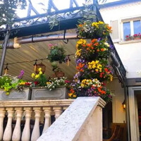 表参道バンブー - 