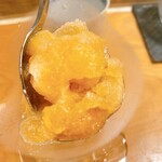 浅草じゅうろく - 杏シャーベット