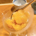 浅草じゅうろく - 杏シャーベット