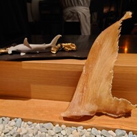 隼 - 戻す前のシュモクザメのフカヒレ
